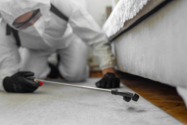 Professional Bed Bug Control technician working in Brownsboro, TX
