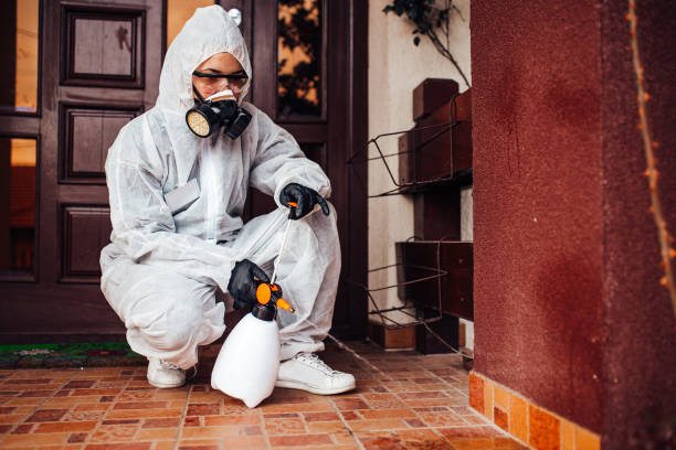Reliable Bed Bug Control contractor in Brownsboro, TX by Nex Pest Control